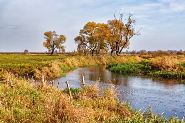 Podlasie 'de güzel bir sonbahar - Brzozwka Nehri