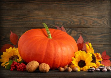 Fotokopi alanı olan Şükran Günü dekorasyonları