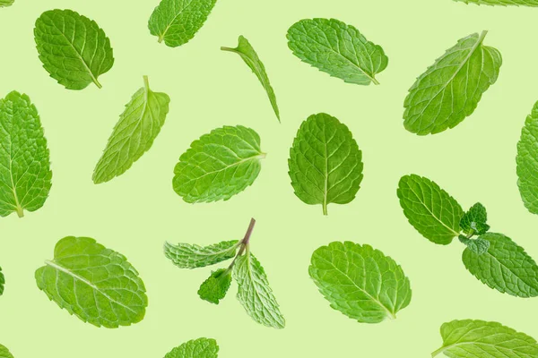 緑のミントの葉のシームレスなパターン. — ストック写真