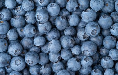 Blueberries background. Antioxidant foods, overhead