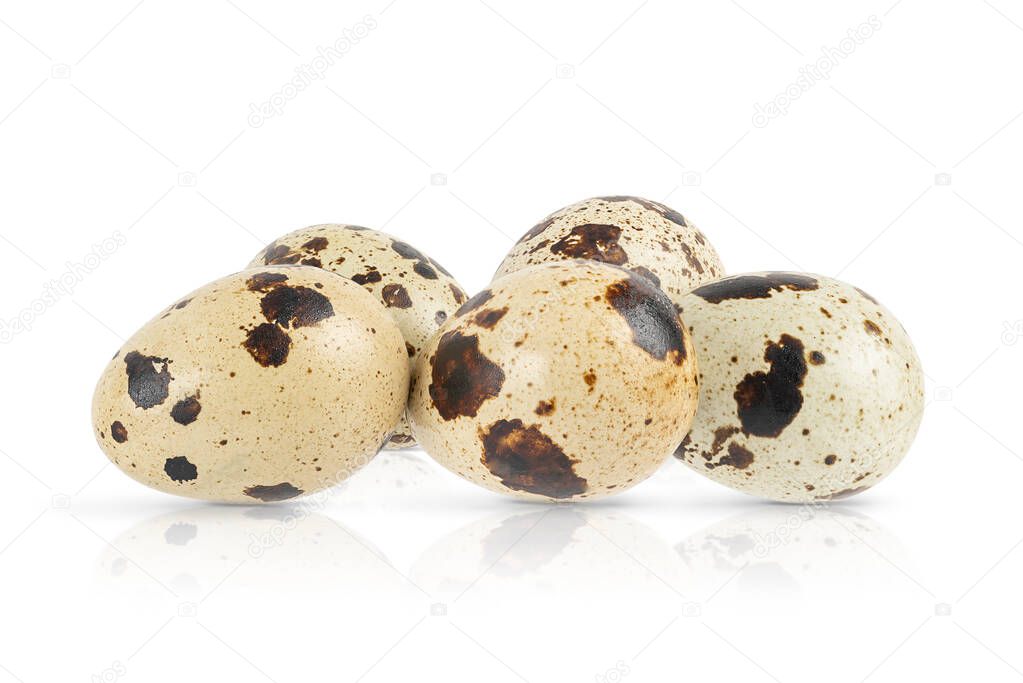 Quail eggs isolated on white background. High quality photo