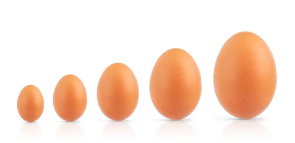 Crudo de huevos de diferentes tamaños aislados sobre fondo blanco. — Foto de Stock