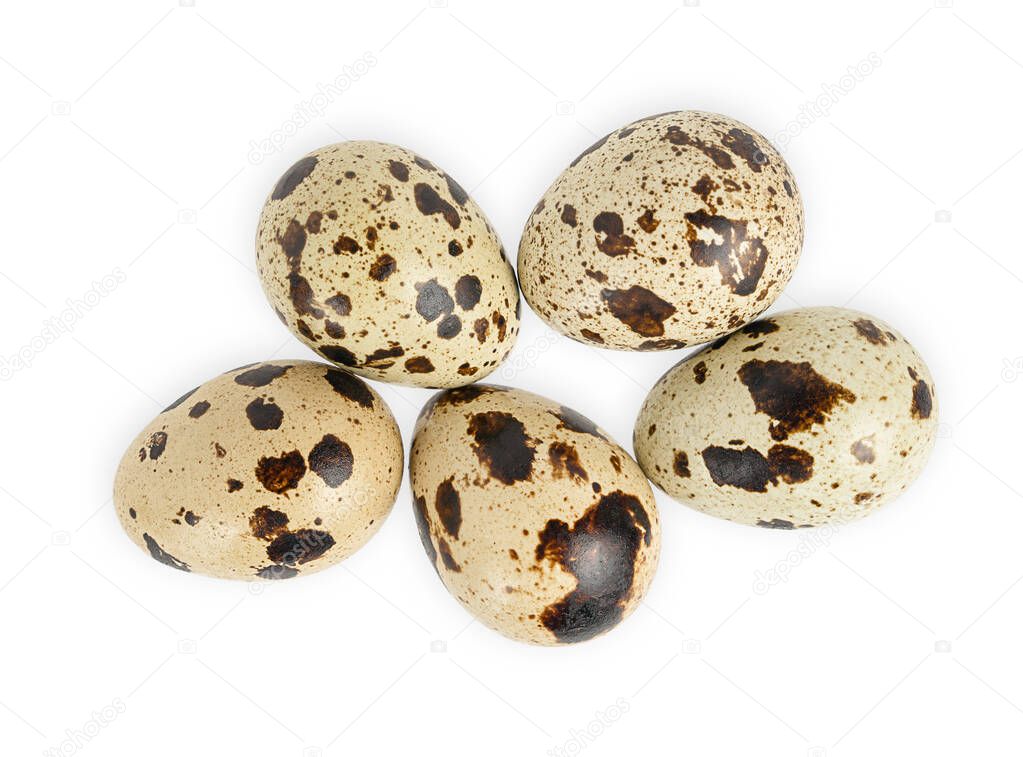 Quail eggs isolated on white background. Directly above