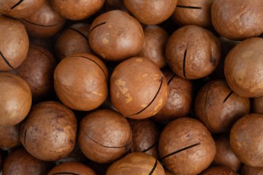 Macadamia fındık dokusu. Gıda arka planı, üst görünüm.