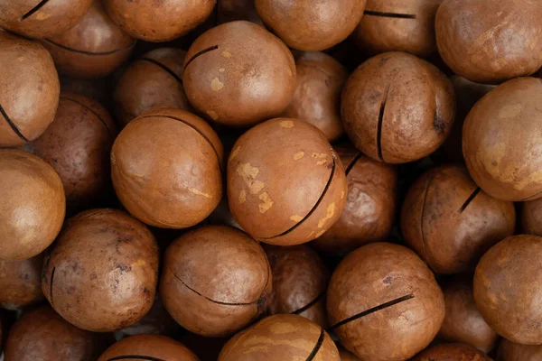 Macadamia fındık dokusu. Gıda arka planı, üst görünüm.