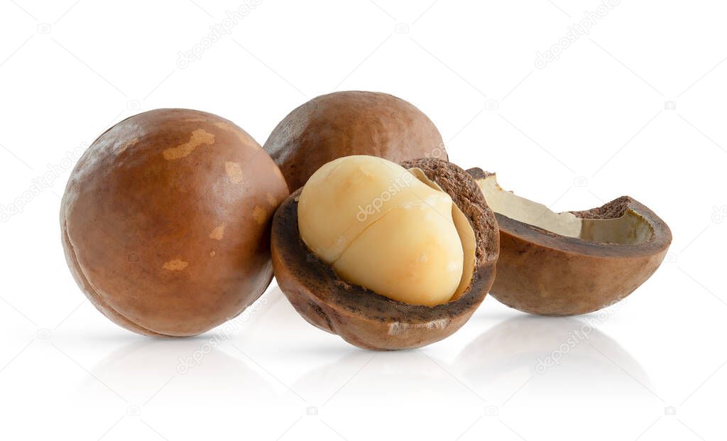 Composition of macadamia nuts on white background with clipping path.