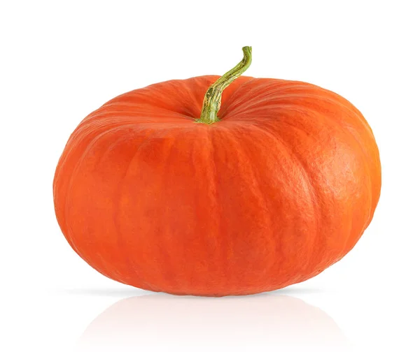 Pumpkin Isolated White Background Design Element High Quality Photo — Stock Photo, Image