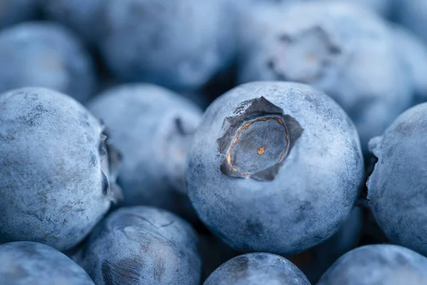 Makro Záběr Borůvek Pozadí Koncept Superfoods Pohled Zepředu — Stock fotografie