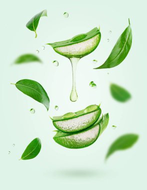 Vertical composition of flying tea leaves and aloe vera on green background. High quality photo