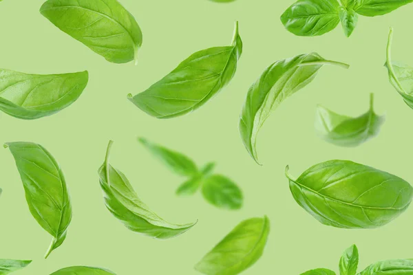 Seamless Pattern Basil Leaves Flying Green Background — Φωτογραφία Αρχείου
