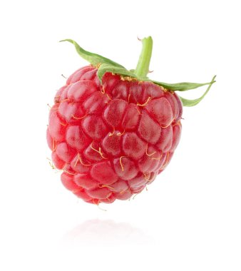Single red raspberry isolated on white background. High quality photo