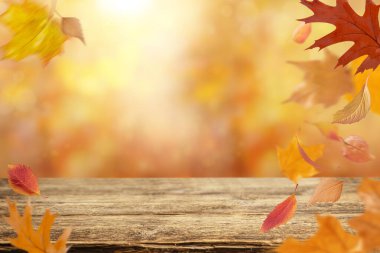 Seasonal autumn background with flying orange leaves. Copy space.
