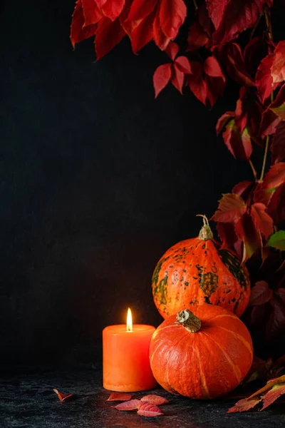 Halloween Ram Med Pumpor Och Brinnande Ljus Svart Bakgrund Kopiera — Stockfoto