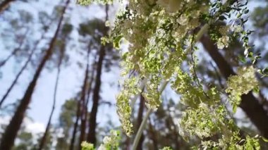 Close up footage of beautiful wild pink small wild flowers at sunflares. Wedding arch. High quality FullHD footage