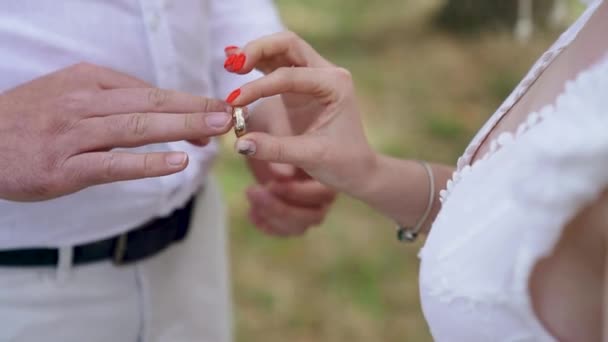 Bride Puts Ring Grooms Finger Forest Location High Quality Fullhd — Stockvideo