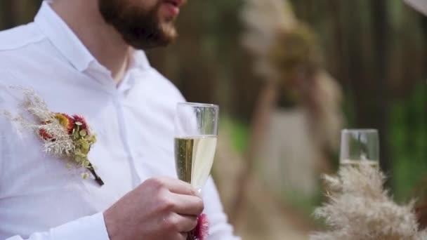 Cheers Close Shot Couple Love Clinking White Wine Glasses Park — Video