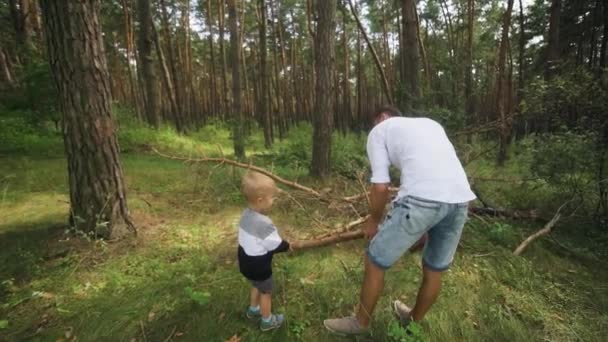 Father Together Son Teenager Carrying Dry Brushwood Fire Summer Forest — Stockvideo