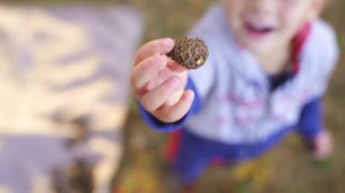 Close up. Little boy sitting in the woods playing with a fallen cone. Slow motion. High quality FullHD footage