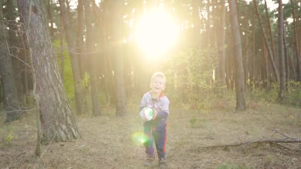 Baby Boy Play Ball Park Sunset Kid Dream Concept Kid — Wideo stockowe