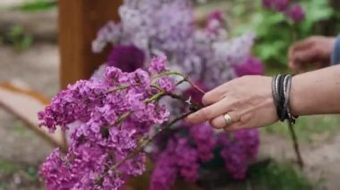 Close up. The florist decorates the wedding arch with fresh lilac flowers. High quality FullHD footage