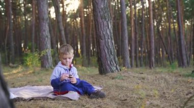 Little boy sitting in the woods playing with a fallen cone. Slow motion. High quality FullHD footage