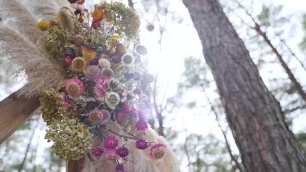 Close Wedding Arch Decorated Pastel Faded Flowers Forest Rustic Wedding — Vídeos de Stock