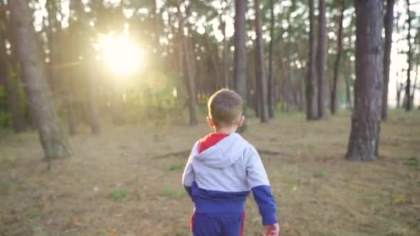 Счастливый Мальчик Бежит Проселочной Дороге Через Красивый Ландшафт Зеленых Холмов — стоковое видео