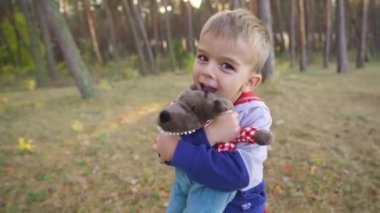 Plush toy in hands of kid in summer pine forest. Child plays with wolf in summer pine forest. Little boy hugs his favorite toy on playground. Best friends plays. Slow motion. FullHD footage