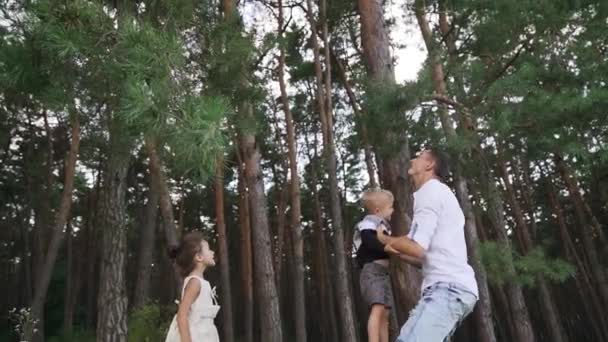 Parent Throws Child Mother Father Playing Kids Outdoors Pine Forest — Vídeos de Stock