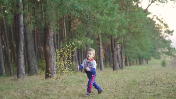 Slow Motion Kid Running Nature Grass Park Happy Family Kid — Stock videók