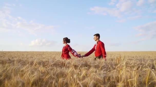 Couple Walking Wheat Field National Red Clothing High Quality Fullhd — Stockvideo