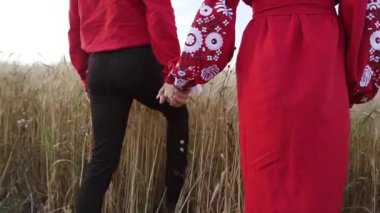 Slow motion. A young couple in love walk hand in hand through a wheat field on path. High quality FullHD footage