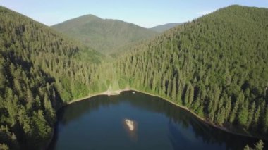 Ukrayna 'daki Karpat Dağları' ndaki Synevir Gölü 'nün havadan görünüşü. Sonbahar ormanında sisli bir göl. UHD 4k video. Yüksek kalite 4k görüntü