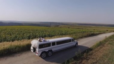 Arazide beyaz SUV limuzin gezintisi. Havadan ateş edildi. Yüksek kalite 4k görüntü