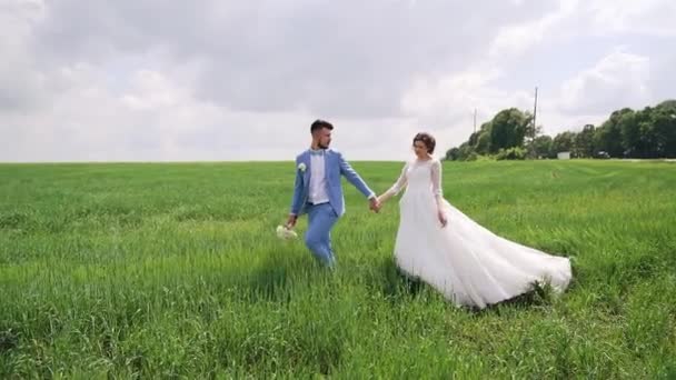 Doğada Yürüyen Evli Bir Çift Yeşil Alanda Ele Yürüyorlar Gelinin — Stok video