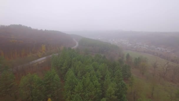 Повітряний Знімок Польоту Над Мальовничим Барвистим Автентичним Лісом Ранковому Тумані — стокове відео