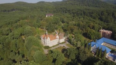 Ukrayna Karpatya 'daki Shenborn şatosu. Sis ile güneşli bir sabah. Yüksek kalite 4k görüntü