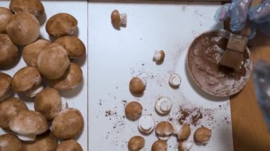 Tatlı lokum mantarları. Koruyucu eldivenli şekerlemeci mantar ve renkli kakao yaratıyor. El yapımı tatlılar. Ev işleri. Yüksek kalite 4k görüntü