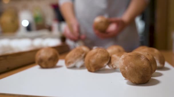 Zeitlupe Der Konditor Staubt Die Handgemachten Champignons Aus Eibisch Mit — Stockvideo