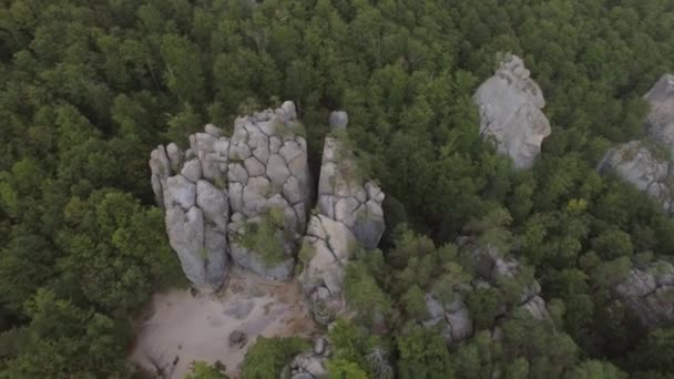 絵のような風景の中に空中の美しい飛行 大きな石の岩 野生の森や山の風景 観光名所 ハイキング先 映画のビデオ 高品質4K映像 — ストック動画