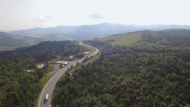 Vista Aérea Del Dron Vuelo Sobre Bosque Pinos Carretera Rural — Vídeo de stock