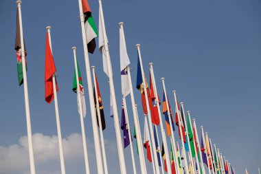 Dubai, Birleşik Arap Emirlikleri - 06 Kasım 2021: Katılımcı ülkeler EXPO 2020 Dubai 'de bayraklar