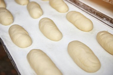 Üretimde fırında pişirmeden önce fırında çiğ hamur ekmeği.