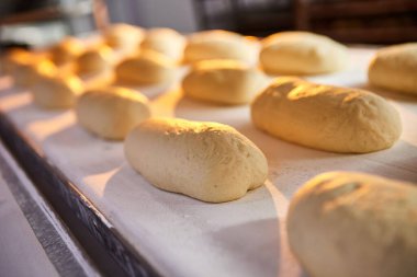 Üretimde fırında pişirmeden önce fırında çiğ hamur ekmeği.