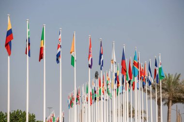 Dubai, Birleşik Arap Emirlikleri - 06 Kasım 2021: Katılımcı ülkeler EXPO 2020 Dubai 'de bayraklar
