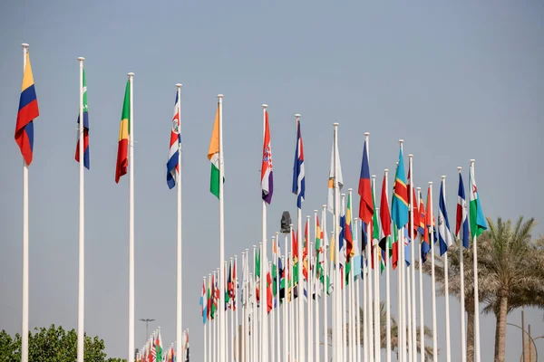 Dubai, Birleşik Arap Emirlikleri - 06 Kasım 2021: Katılımcı ülkeler EXPO 2020 Dubai 'de bayraklar