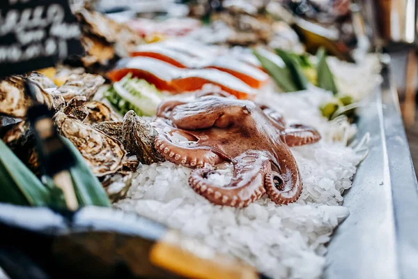 Polvo Fresco Encontra Gelo Loja Peixe Polvo Para Venda — Fotografia de Stock