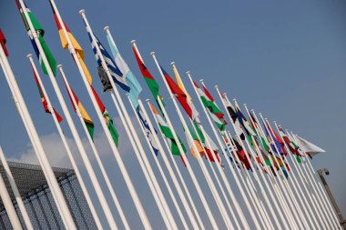 Dubai, Birleşik Arap Emirlikleri - 06 Kasım 2021: Katılımcı ülkeler EXPO 2020 Dubai 'de bayraklar