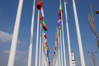 Dubai, Birleşik Arap Emirlikleri - 06 Kasım 2021: Katılımcı ülkeler EXPO 2020 Dubai 'de bayraklar