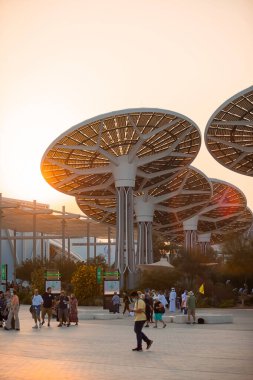 Dubai, Birleşik Arap Emirlikleri - 06 Kasım 2021: Terra Sürdürülebilirlik Pavyonu, EXPO 2020 'de gün batımında Birleşik Arap Emirlikleri' nde. Gelecekçi güneş panelleri